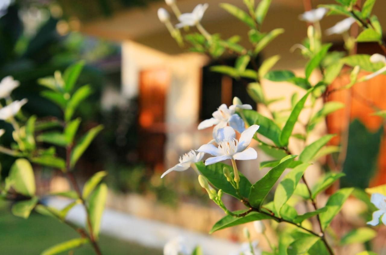 Green Beach โรงแรม 3*