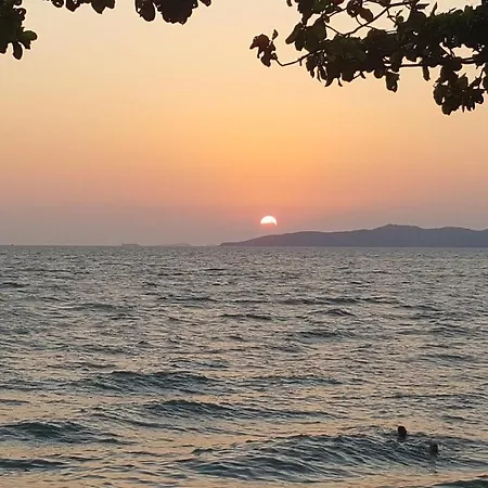 Tuga's Bar And Pattaya