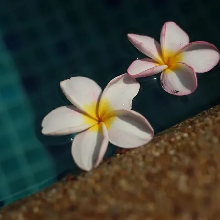 พระตำหนักวิลล่า 10 ห้องนอน พร้อมสระว่ายน้ำส่วนตัว