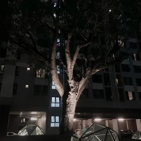 โรงแรม The Base Sml Pattaya