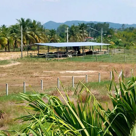 The Park Pool วิลล่า *