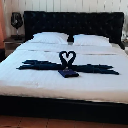Hotel Swiss Food Restaurant And For Rent