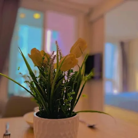 City Garden Olympus By Ny Apartment