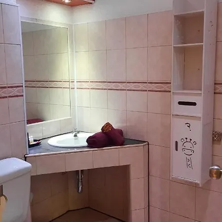 Hotel Swiss Food Restaurant And For Rent
