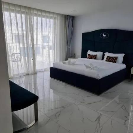 Hotel Plam Spring Pool D26