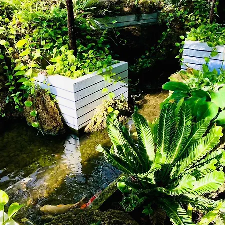 D Eco Wellness Luxury