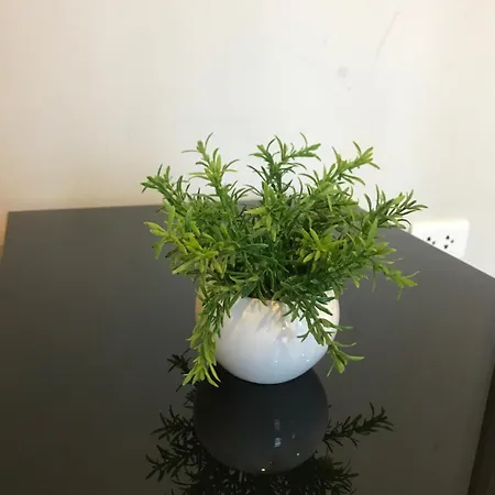 Apartment 泰国芭提雅thebase无边游泳池公寓