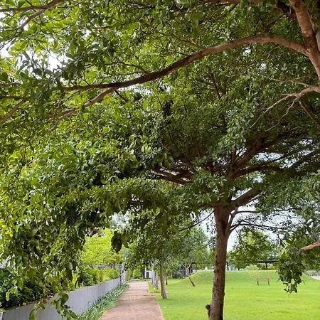 喧嚣都市绿荫花丛中的panalee别墅 Villa