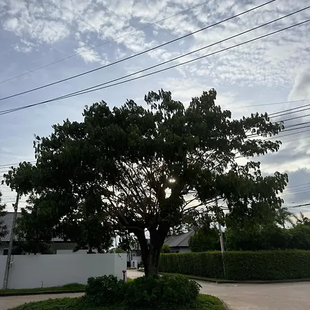 喧嚣都市绿荫花丛中的panalee别墅 Pattaya
