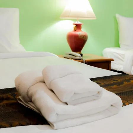 Hotel Angel Park *