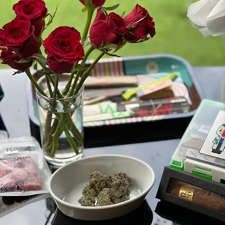 รีสอร์ท Smokers Beach Club &