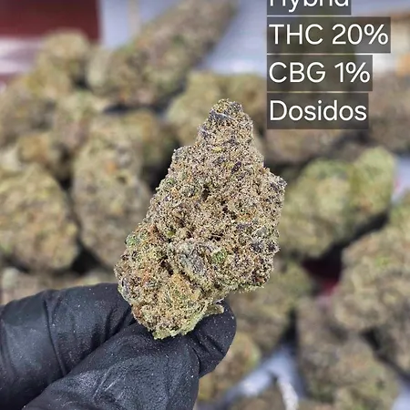 Happiness Community Wake & Bake - Rooftop Bar & Bistro