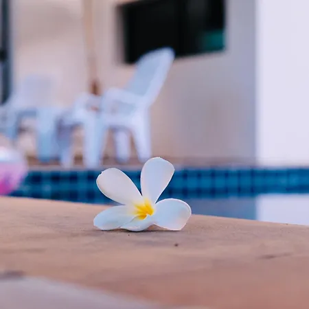 Villa Hollywood Pool Center Pattaya
