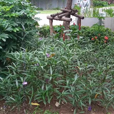 Sea View Studio Pattaya