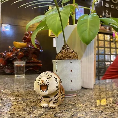 Tycoon Place Garden