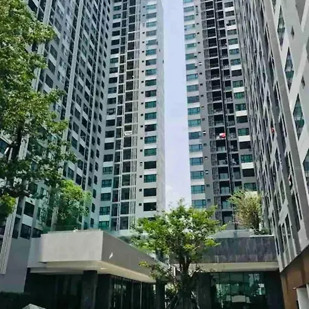 Base Perfect Spot Seaview 23 Floor