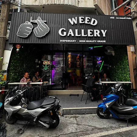 W33d Gallery Pattaya