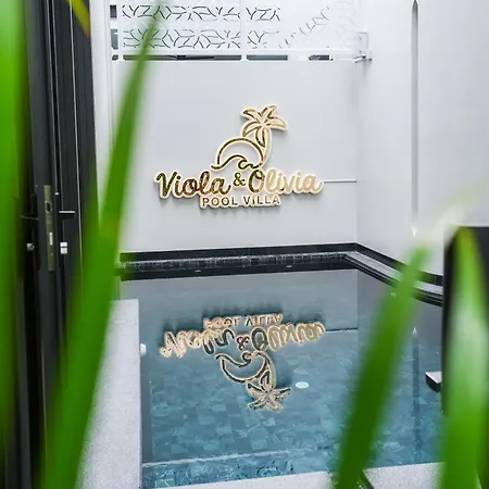 Viola Pool 1 *