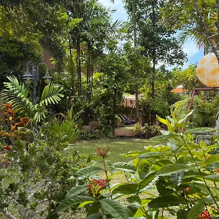 Mido Pattaya