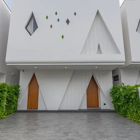 Viola3 *