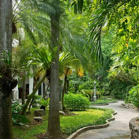 Sunshine Garden