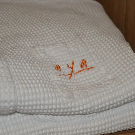 Hotel Aya Boutique - Sha 4*