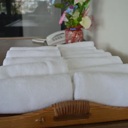 Hotel Aya Boutique - Sha 4*