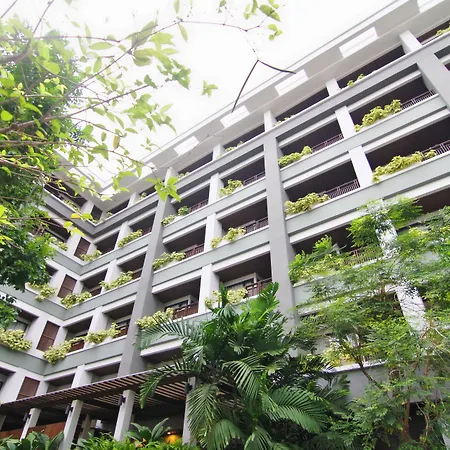 Areca Pattaya