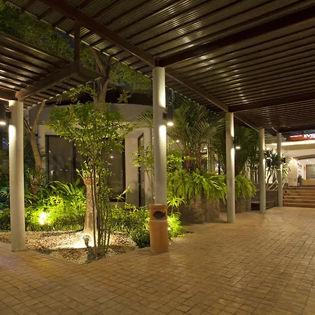 Areca Pattaya
