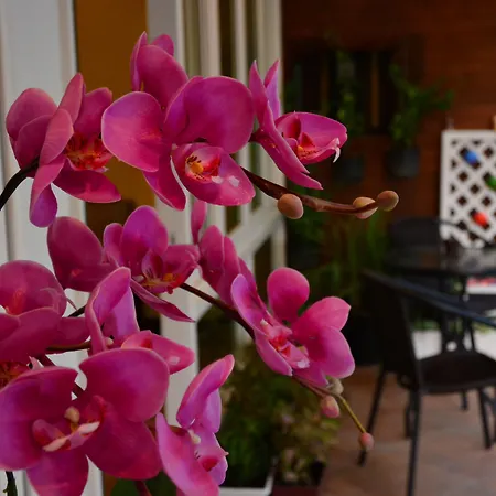Guest house Seedling House 2*