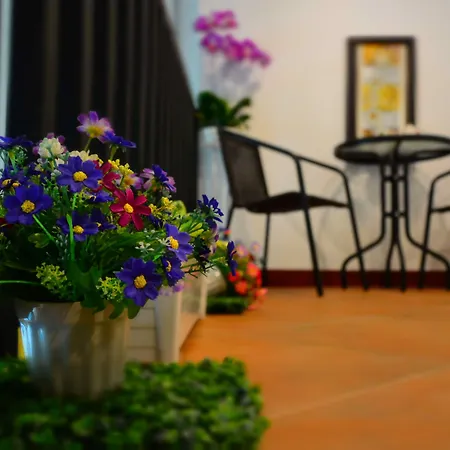 Seedling House Pattaya