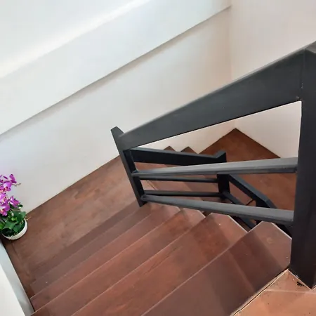 Seedling House Guest house 2*