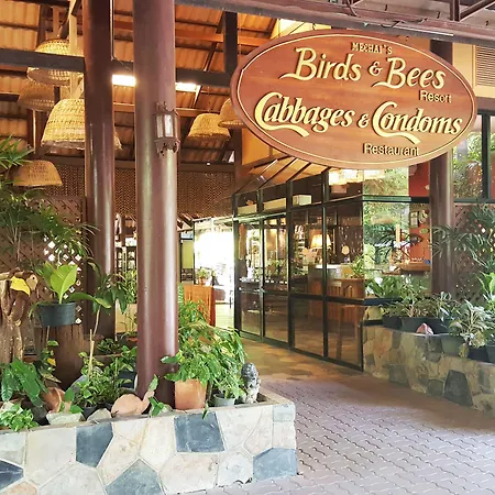 Birds And Bees Resort