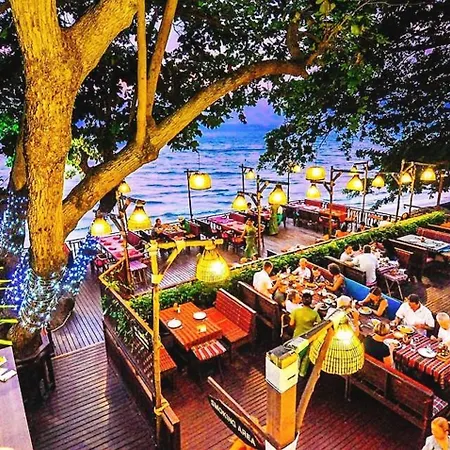 Birds And Bees Resort 3*