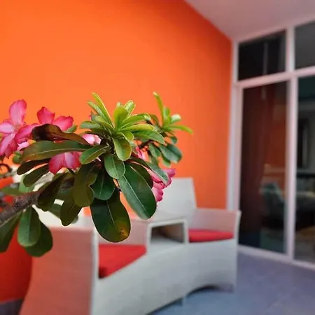 Koenig Mansion 4*