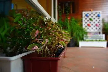 Guest house Seedling House Pattaya