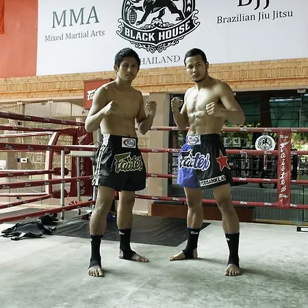 Fairtex Express