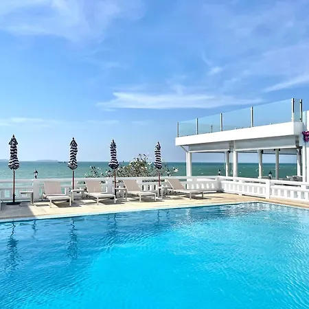 秘狗nova Pattaya