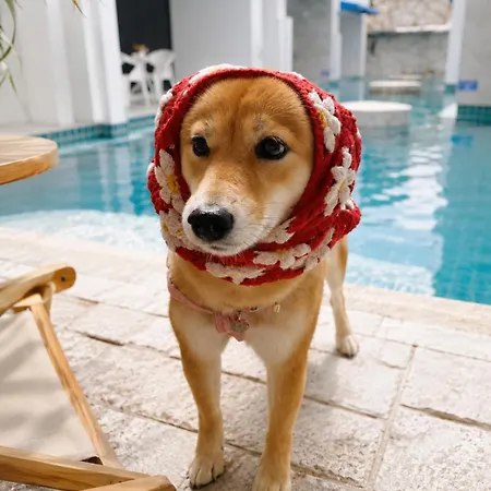โฮมสเตย์ Mona Lisa Pool *