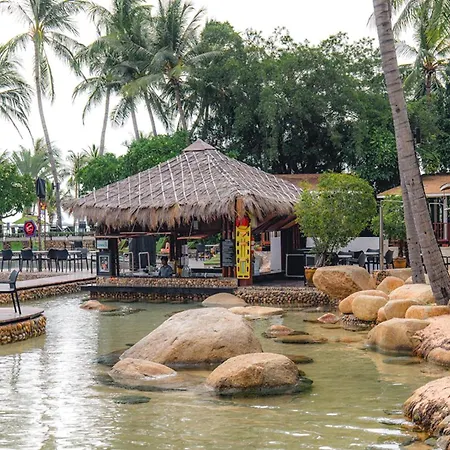 Hard Rock (adults Only) 4*