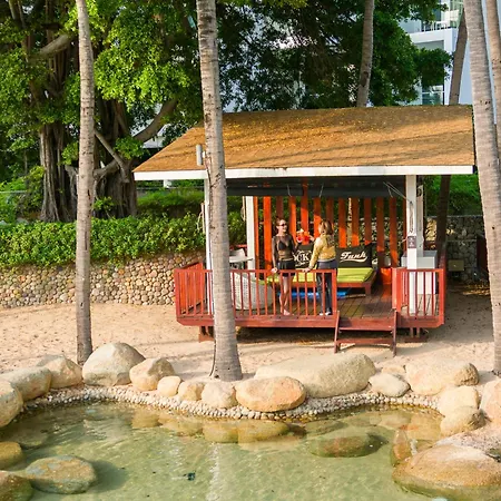 Hard Rock (adults Only) Pattaya