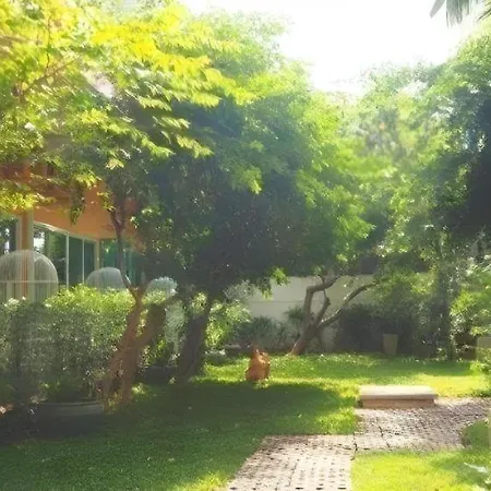 Bb House Pattaya