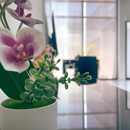 Magnitude 8 Bedroom In Palm Spring * Pattaya