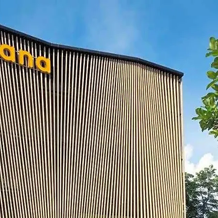 Asana &