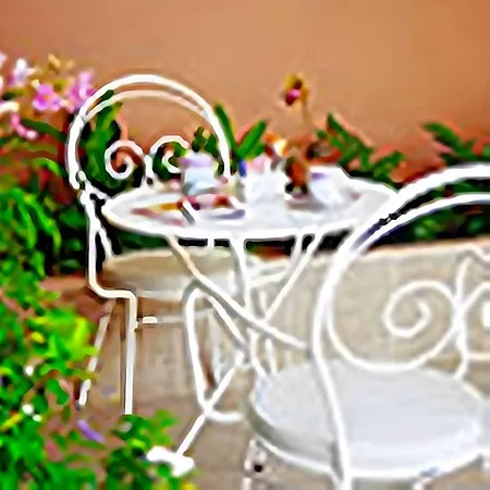 Guest house Tj
