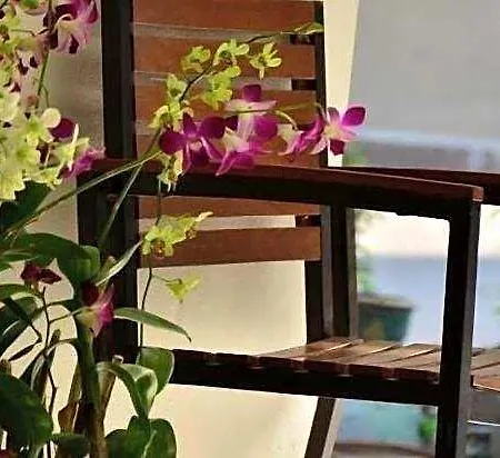 Admire House Guest house