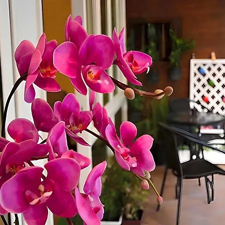 Seedling House 2* Pattaya