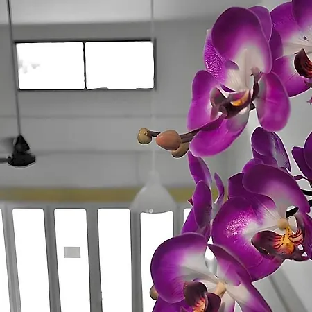 Seedling House