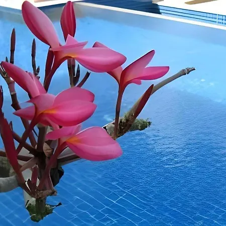 Resort Lee Garden Pattaya