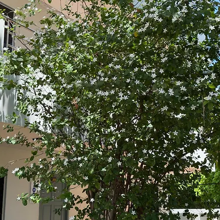 Amaya Bloom & Hotel 3*